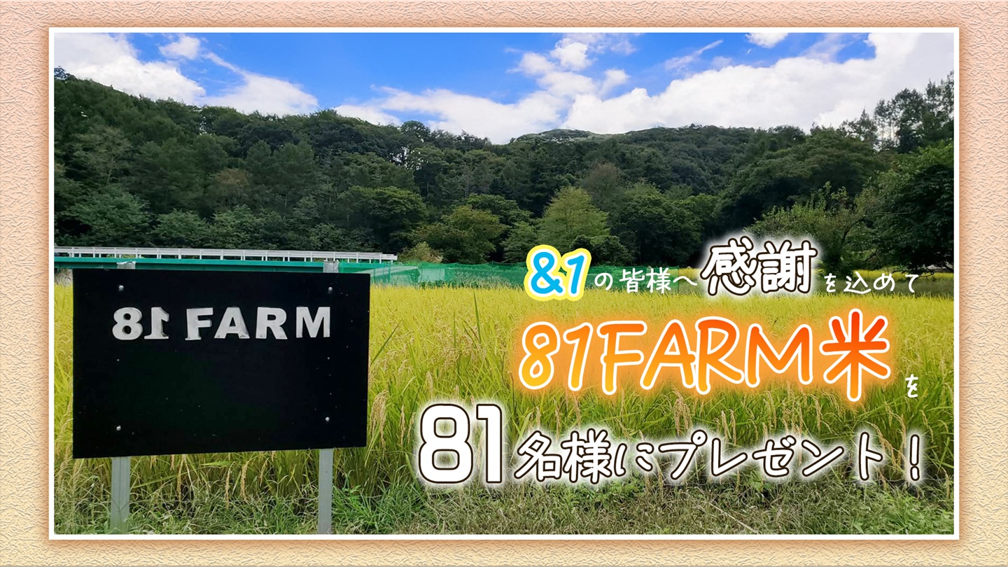 81FC会員限定「81FARM米」プレゼントキャンペーン企画